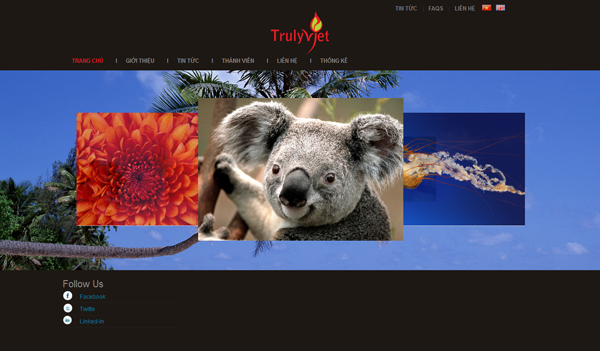 Thiết kế website công ty Truly  Việt